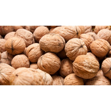 Nueces c/ cáscara 30/32 10kg- $70 x kg